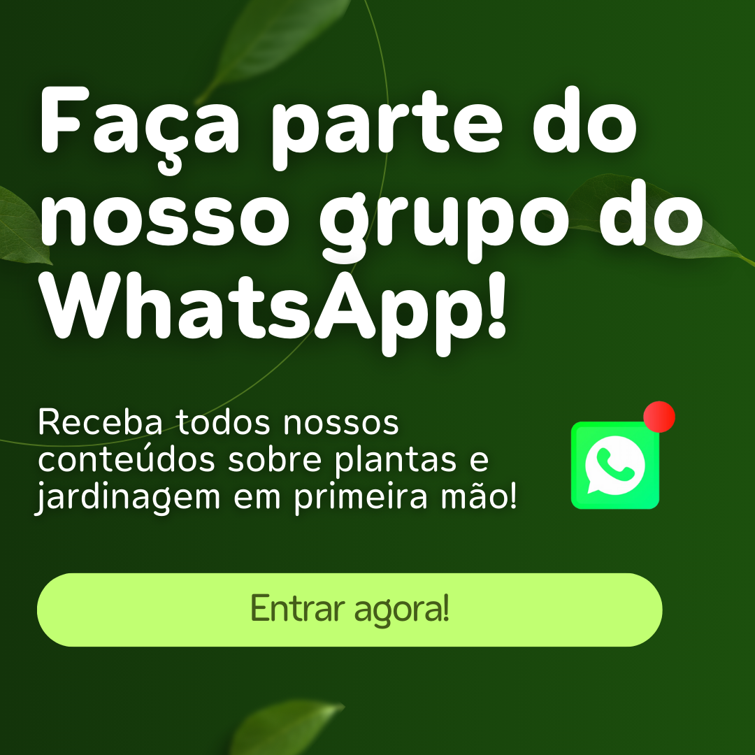 pop-up whatsapp