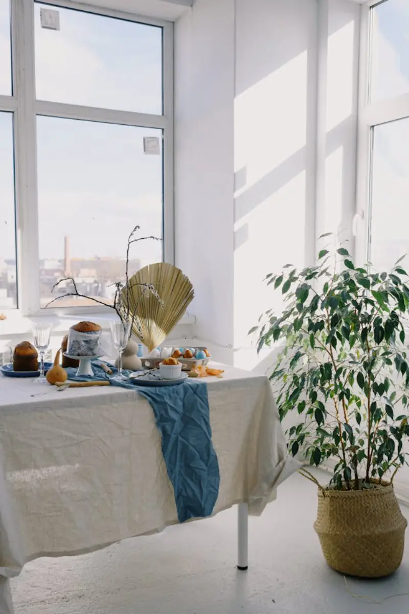 Ficus Benjamina no vaso em sala de jantas