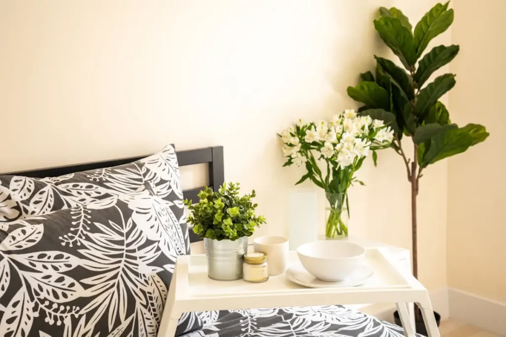 plantas decorativas no quarto