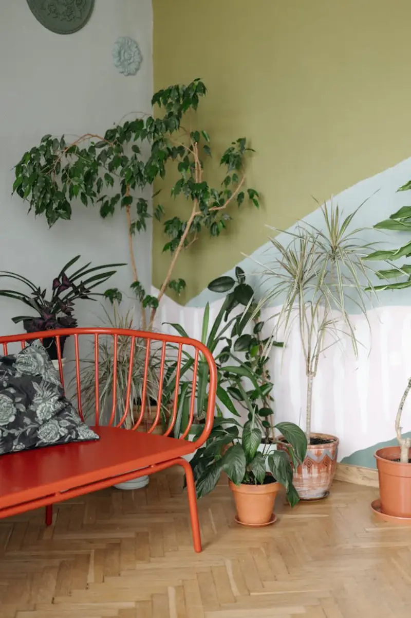 plantas dentro de casa