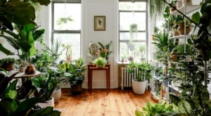 Plantas internas em apartamento