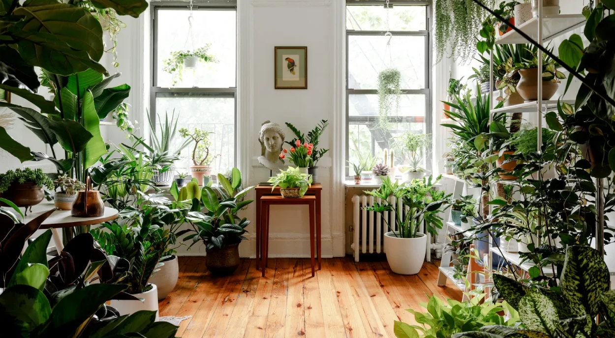 Plantas internas em apartamento