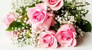 buque de rosas colombianas rosas