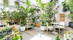 lindo ambinete com plantas ornamentais