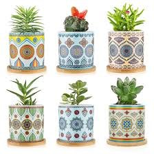 Vaso COLOAPT para Suculentas — Cerâmica com Drenagem