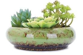Vaso Raso de Cerâmica (Yardwe)