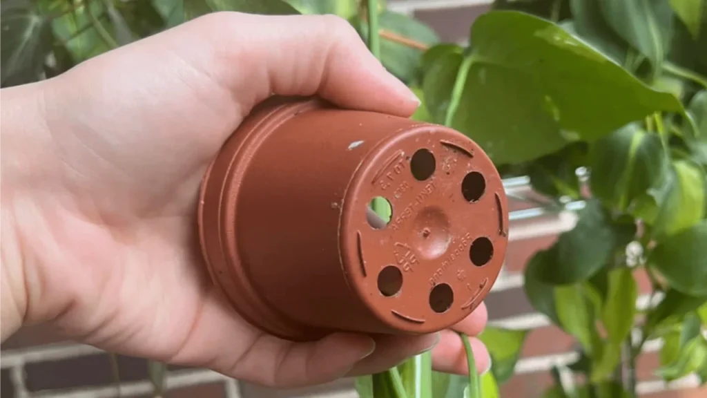 Vaso furado embaixo