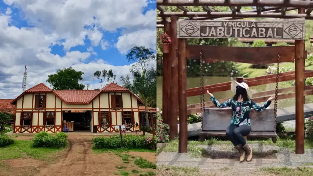 Jaboticabeira Famosa: A História da Cidade Brasileira que Encantou o Mundo