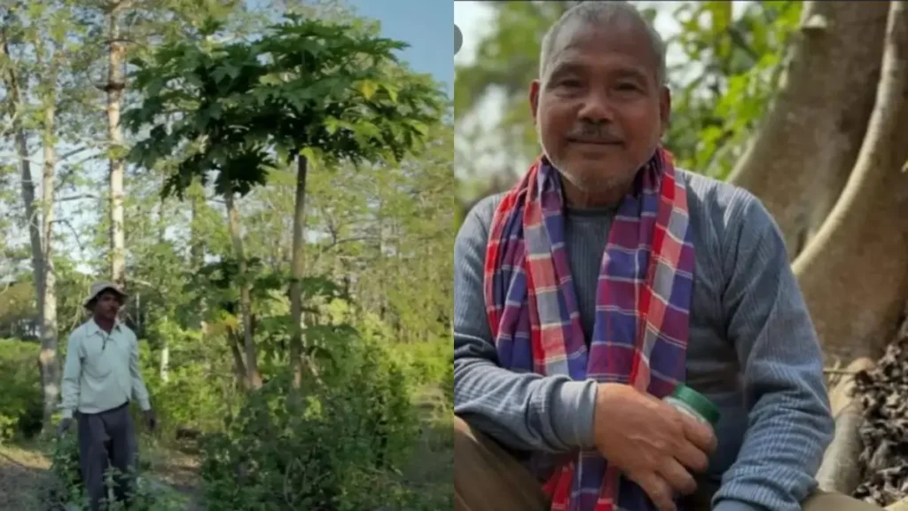 Jadav Payeng mais velho