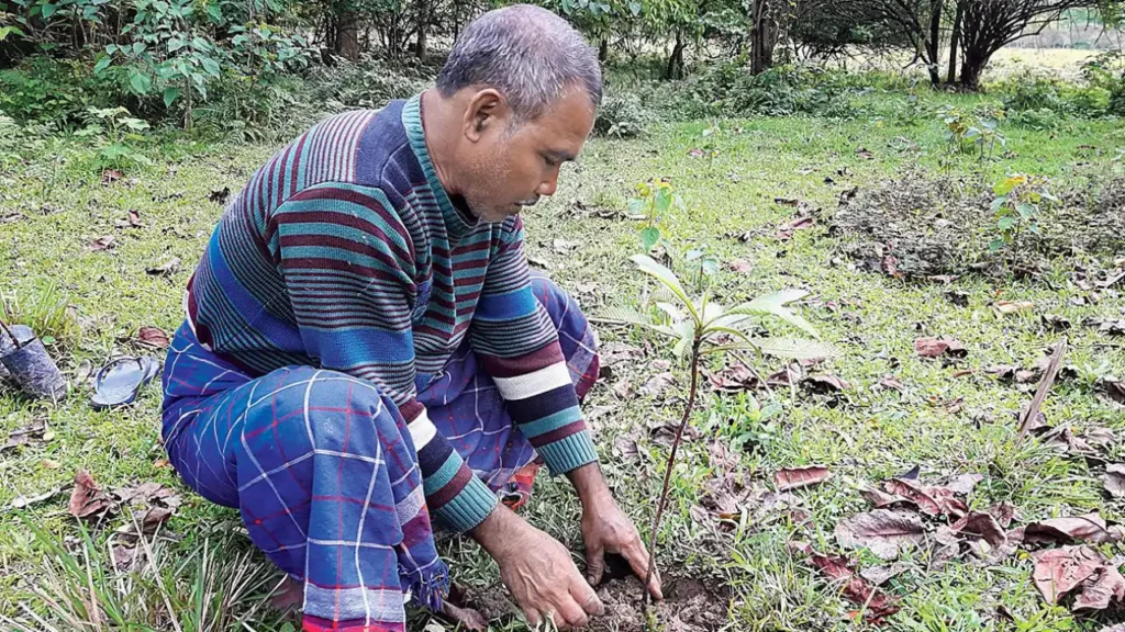 Jadav Payeng plantando