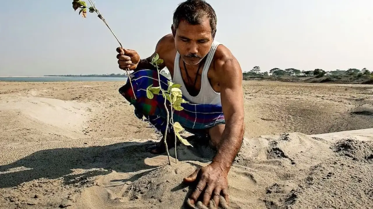 Jadav Payeng plantando na areia