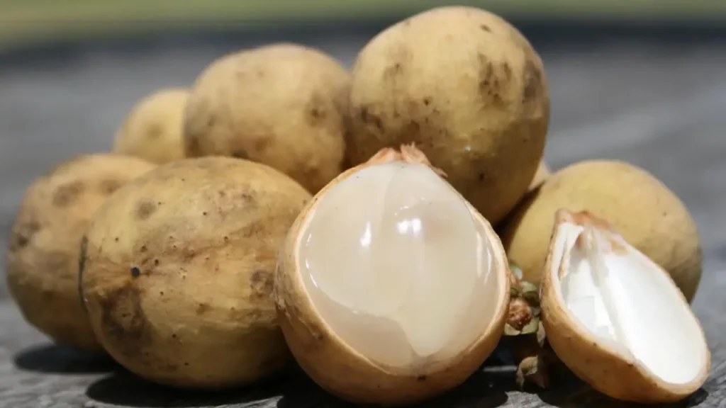 Descubra o Langsat: A Fruta Tropical Que Une Manga e Abacaxi
