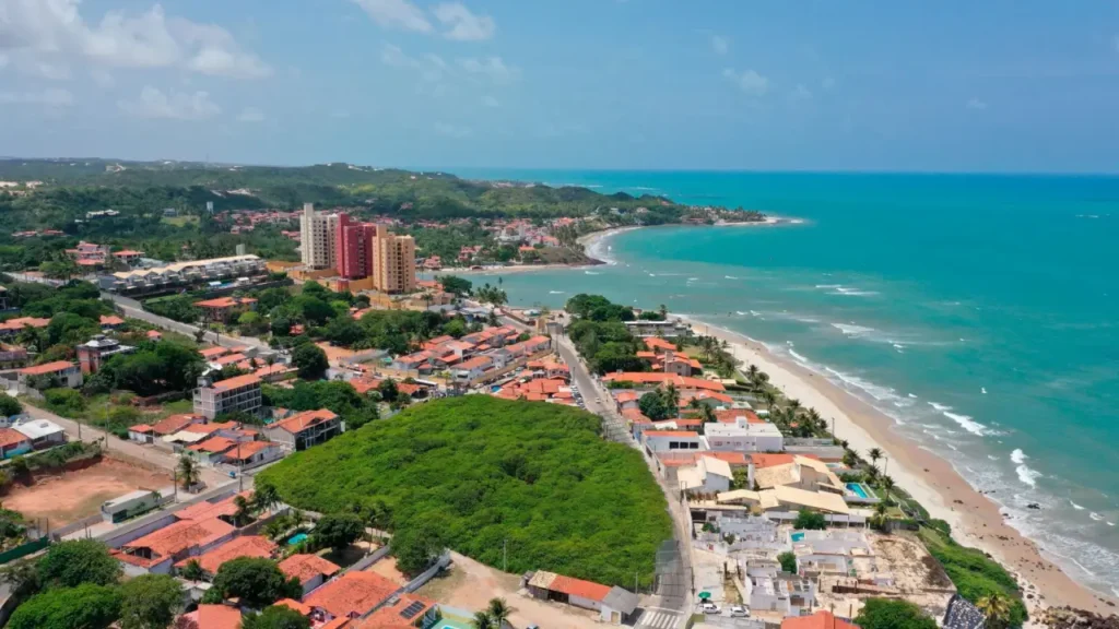 Conheça a Cidade Brasileira Que Possui a Maior Árvore Frutífera do Mundo
