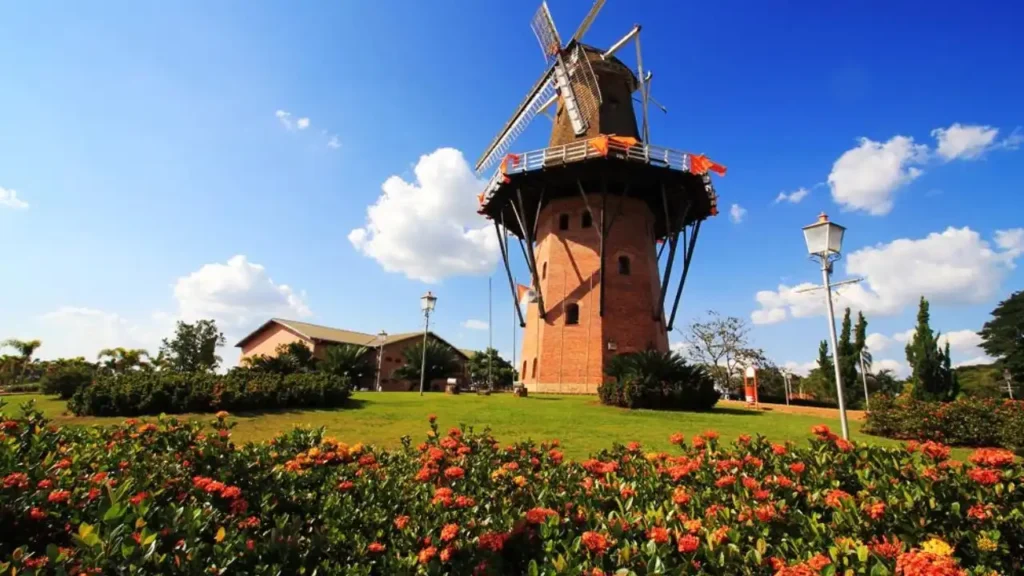 Descubra Onde Fica Holambra, a Charmosa Cidade das Flores no Brasil