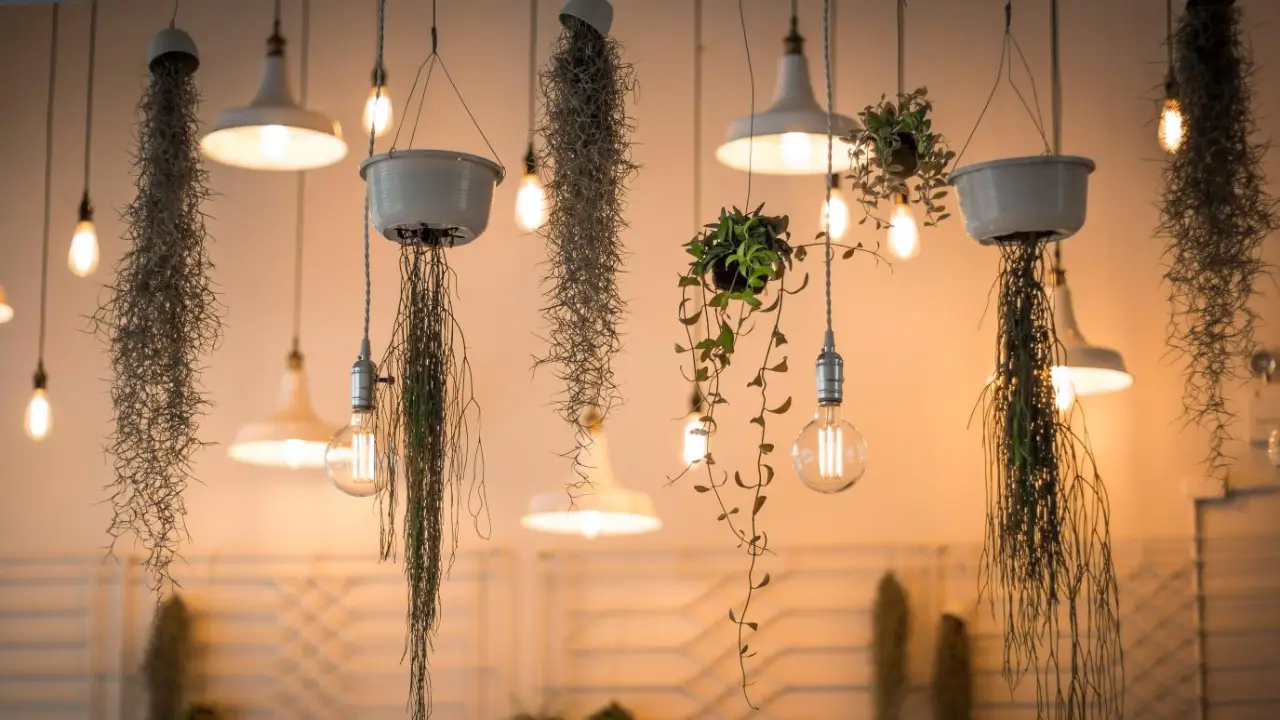 Especialistas Alertam: Erro Comum com Luz LED Está Matando Plantas em Apartamentos