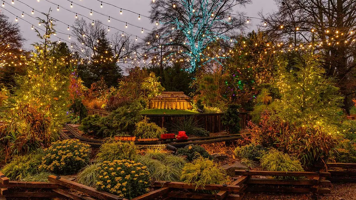 Jardim Natalino com Plantas Naturais: Veja Como Transformar Seu Quintal Para o Fim de Ano
