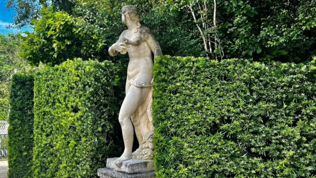 Quer mais proteção e beleza no jardim? Veja 6 plantas ideais para cerca viva