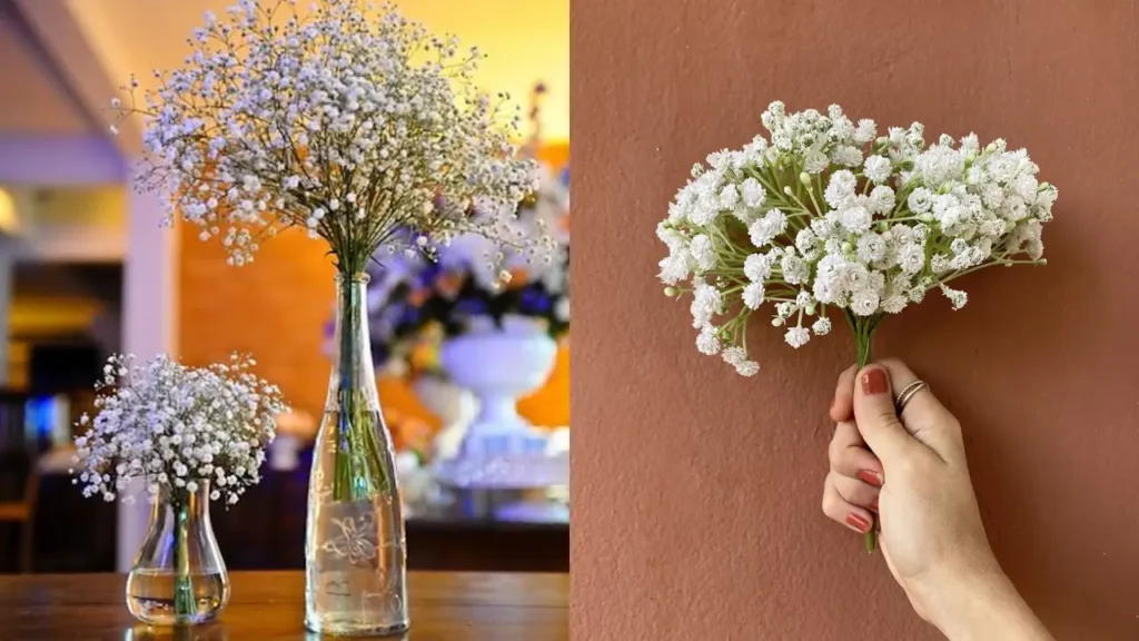 Ela parece simples, mas deixa qualquer arranjo com cara de casamento de luxo