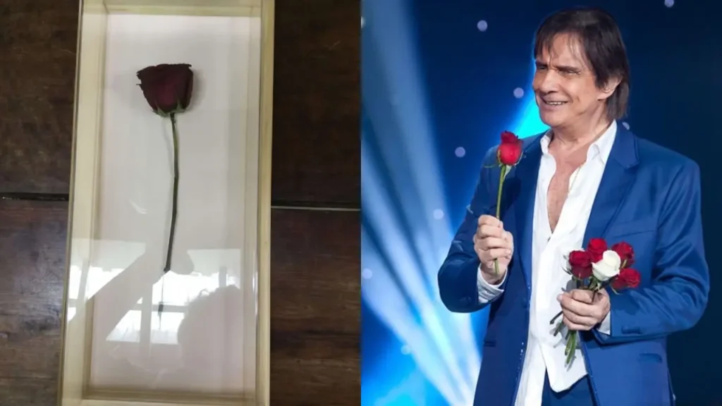 A Flor do Roberto Carlos_ Como as Rosas Viraram Símbolo Eterno dos Shows rosa