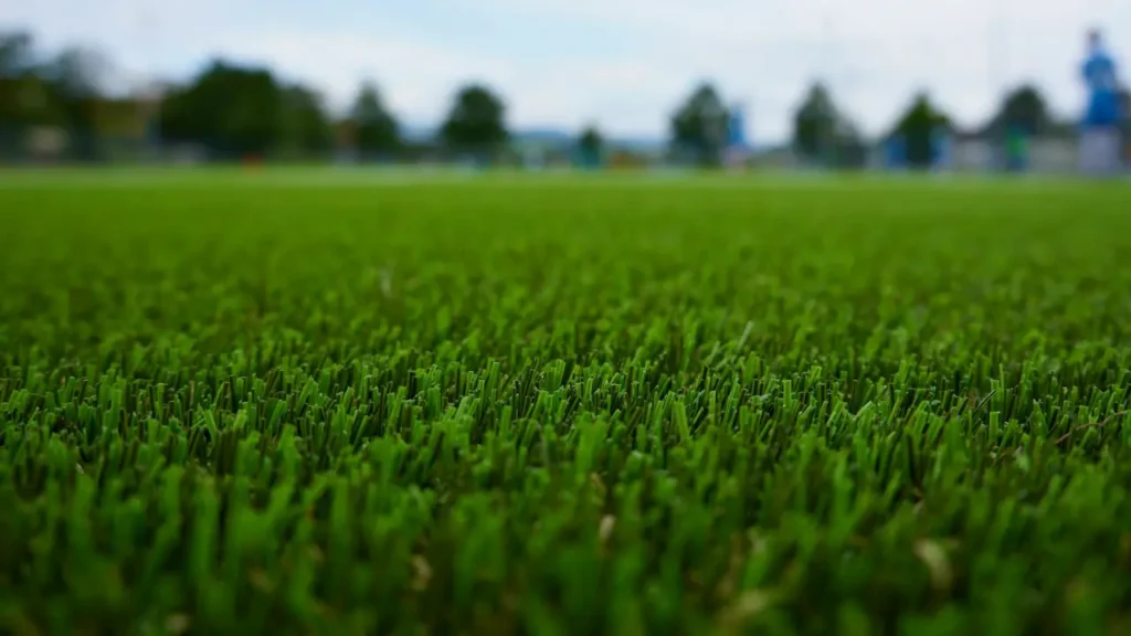 Qual A Melhor Grama Para Campo De Futebol Profissional: Guia Completo Para Escolha Ideal