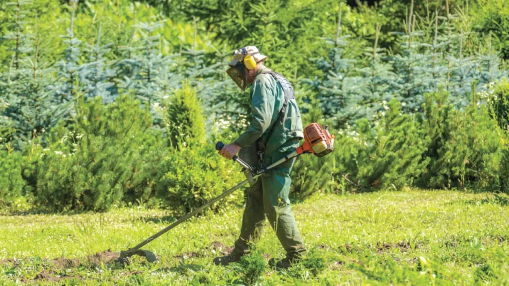 homem aparando a grama