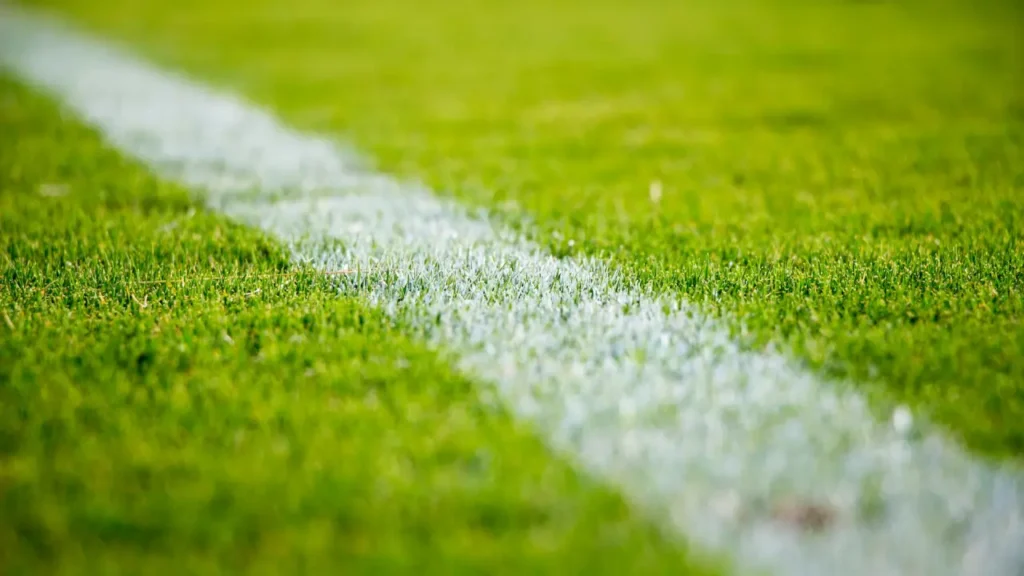 Qual A Melhor Grama Para Campo De Futebol Profissional: Guia Completo Para Escolha Ideal