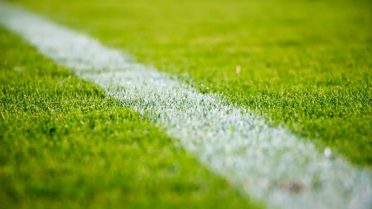 Qual A Melhor Grama Para Campo De Futebol Profissional: Guia Completo Para Escolha Ideal