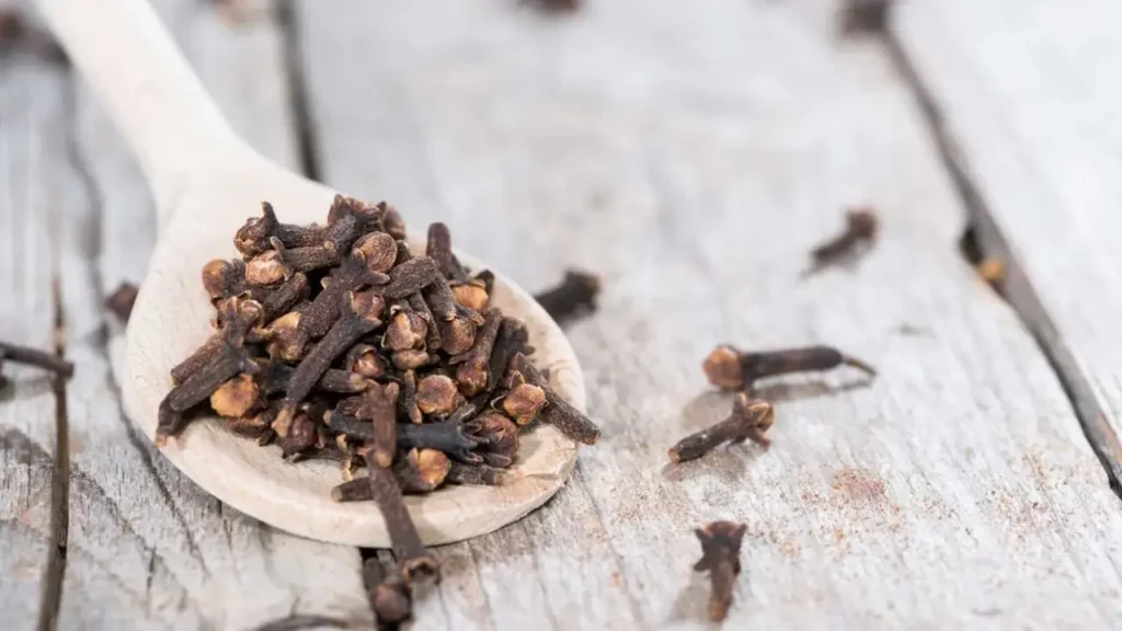 planta cravo-da-índia