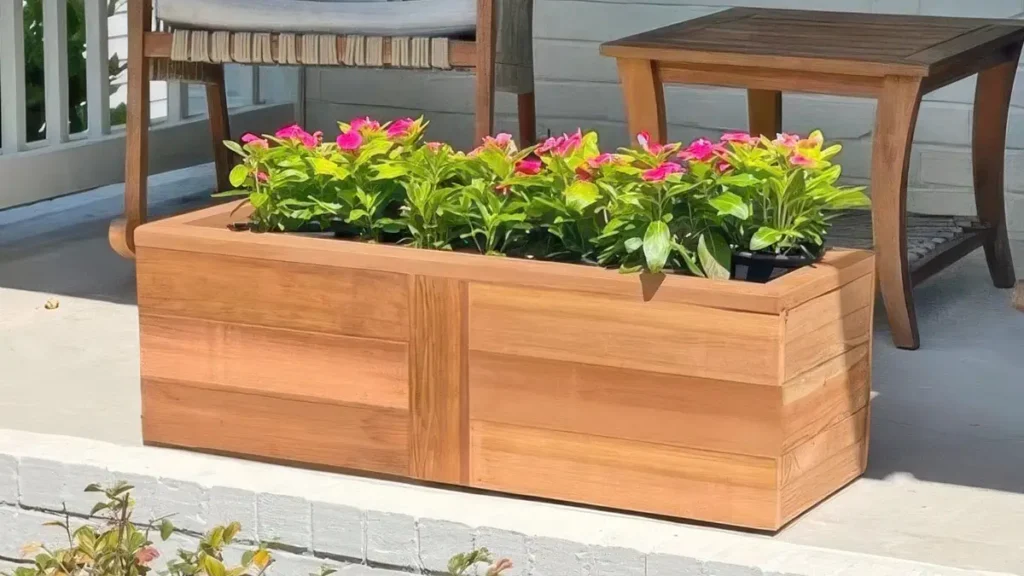 Quase ninguém conhece estas plantas perfeitas para floreiras e jardineiras